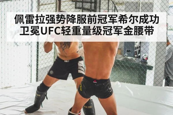 MMA knockout punch